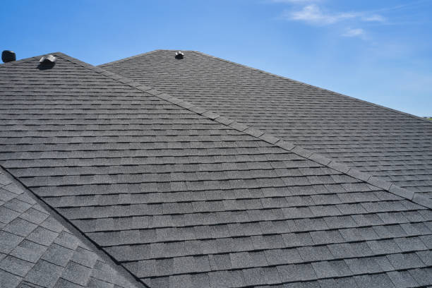 Best Roof Ventilation Installation  in Burlingame, CA